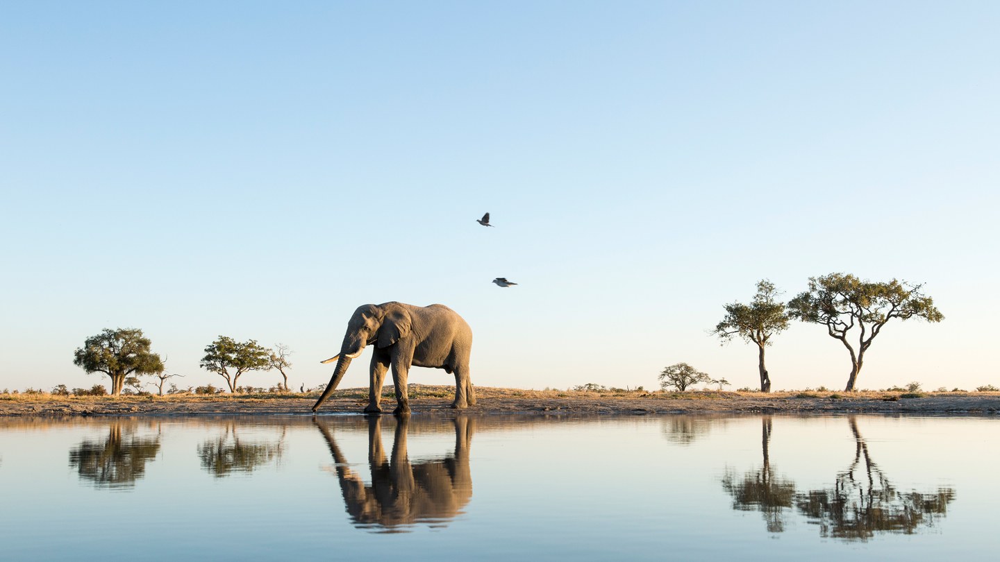 Botswana_GettyImages-534898061